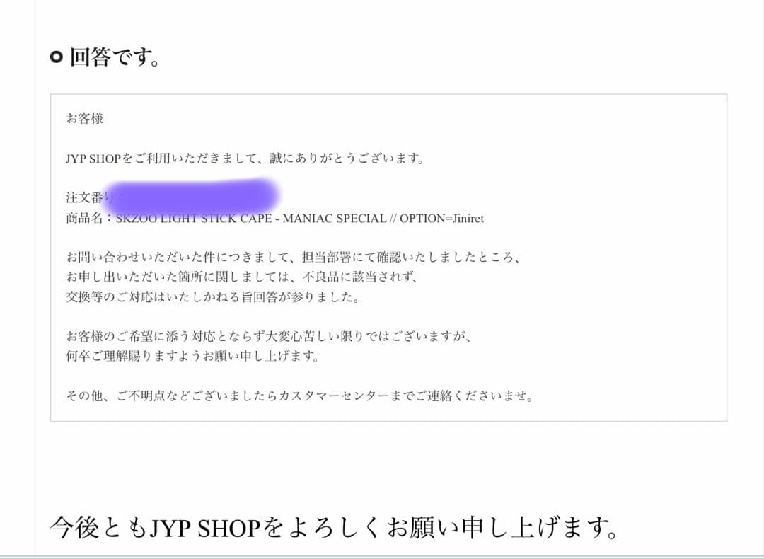 【公式未開封】straykids ぬいぐるみ 団扇カバー ペンライトカバー