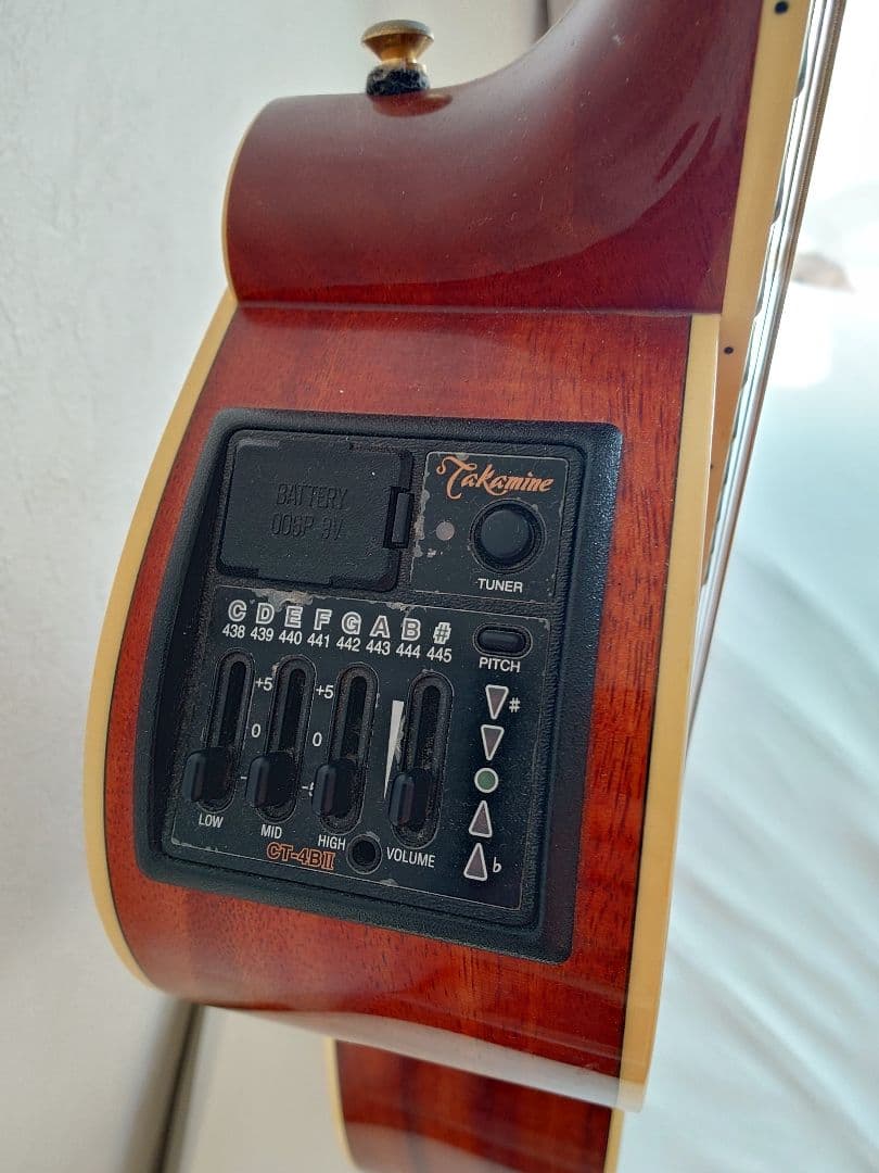 Takamine エレアコギター ソフトギターケース付き