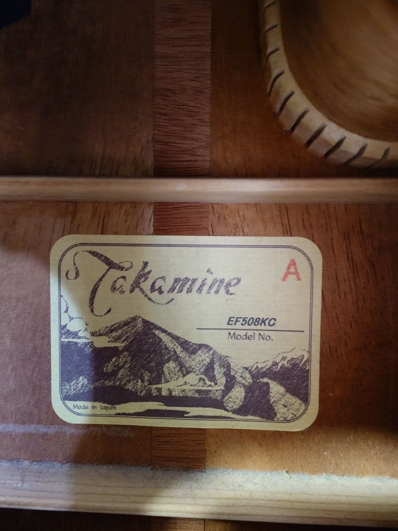 Takamine エレアコギター ソフトギターケース付き