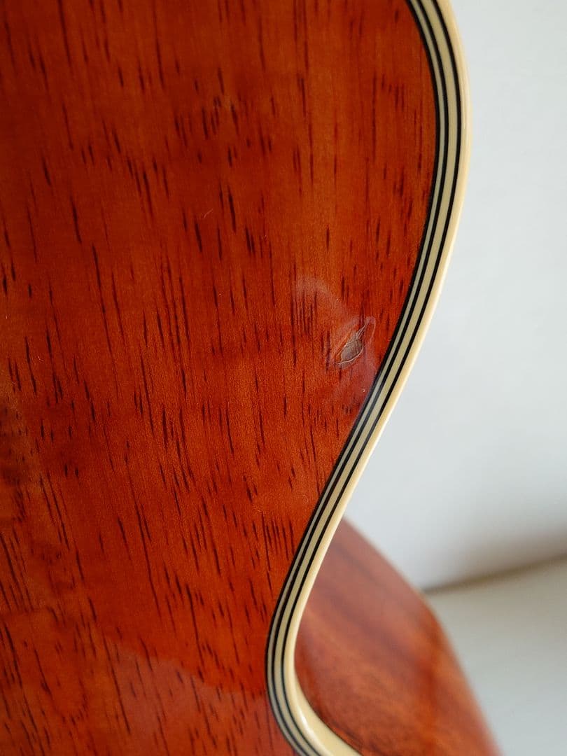 Takamine エレアコギター ソフトギターケース付き