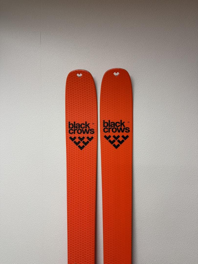 Blackcrows draco freebird 181cm 専用シール付