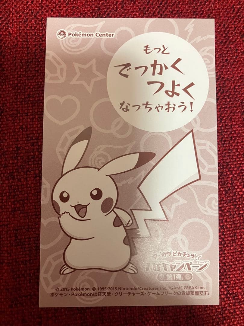 【非売品】最終出品　ピカチュウ メガリザードンX ポンチョ　名刺カード
