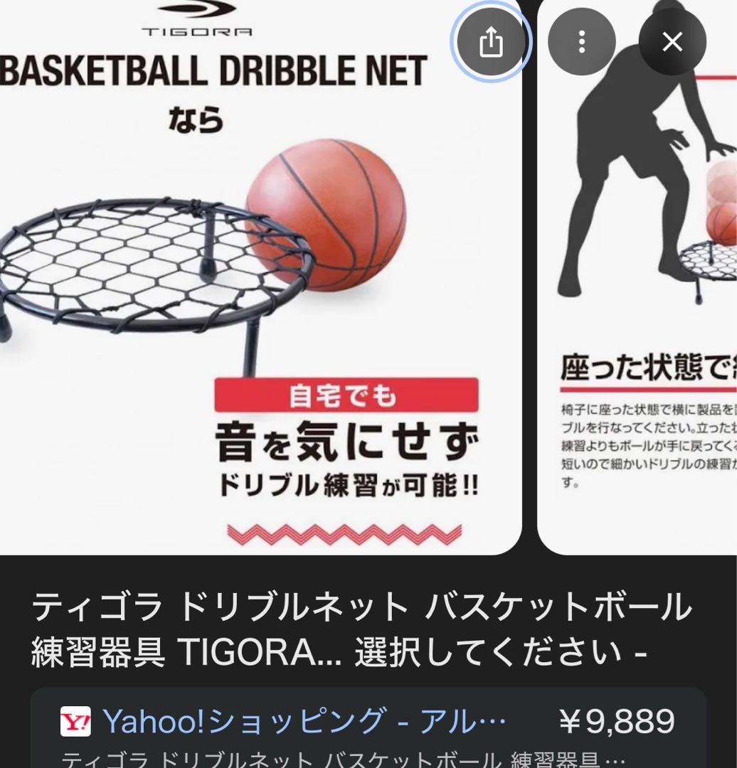ティゴラ　ドリブルネット