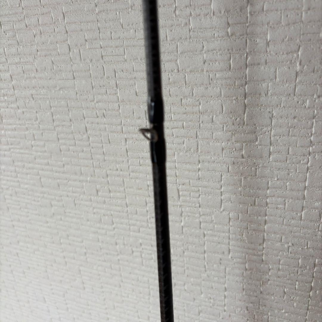 エバーグリーン　カレイドインスピラーレ　スーパースタリオン