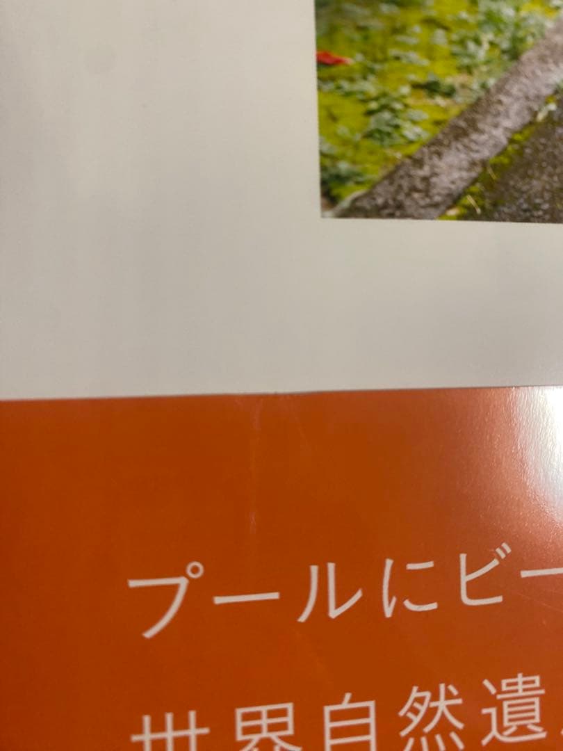 《匿名配送》浜辺美波 写真集 20 ニジュウ 直筆サイン入り