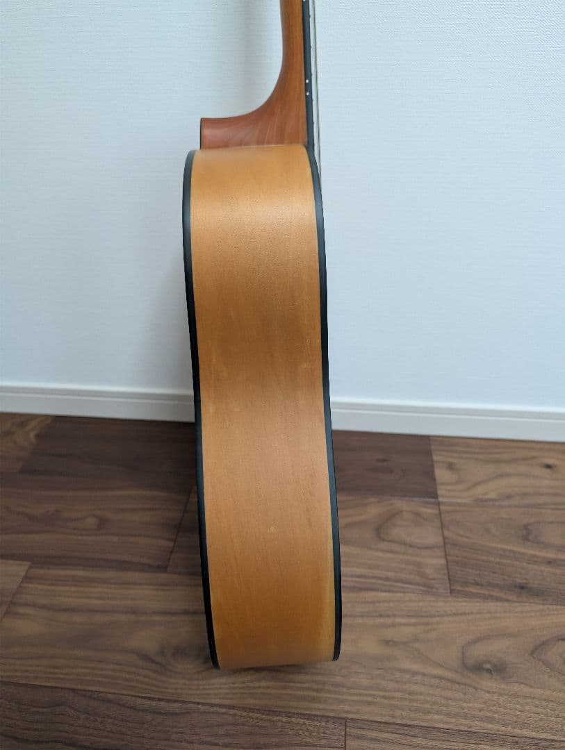 Ashton D20 アコースティックギター