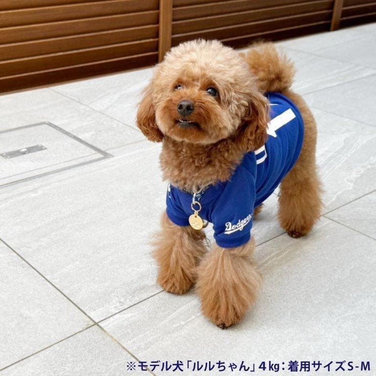 送料無料新品★犬の洋服ＭＬＢ公式ドジャース大谷翔平ユニホームＴシャツＳ～Ｍサイズ
