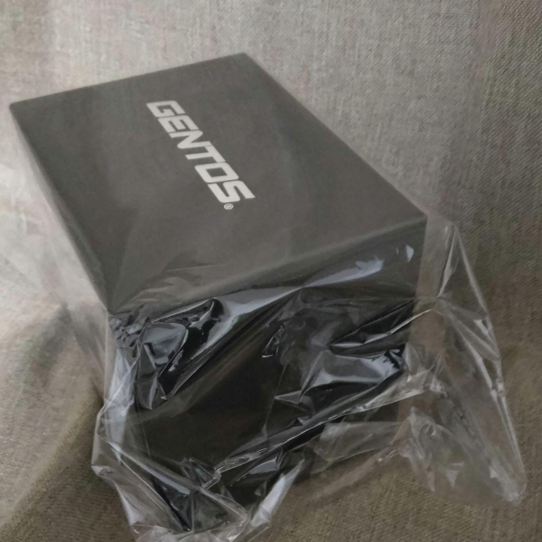 GENTOSヘッドライト　GH-300RG　ジェントス
