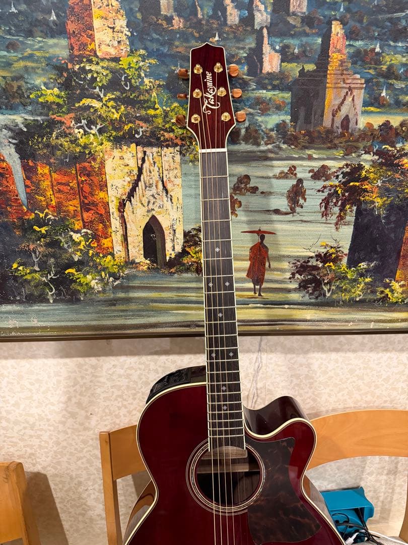 Takamine アコースティックギター ワインレッドDMP 50SWR