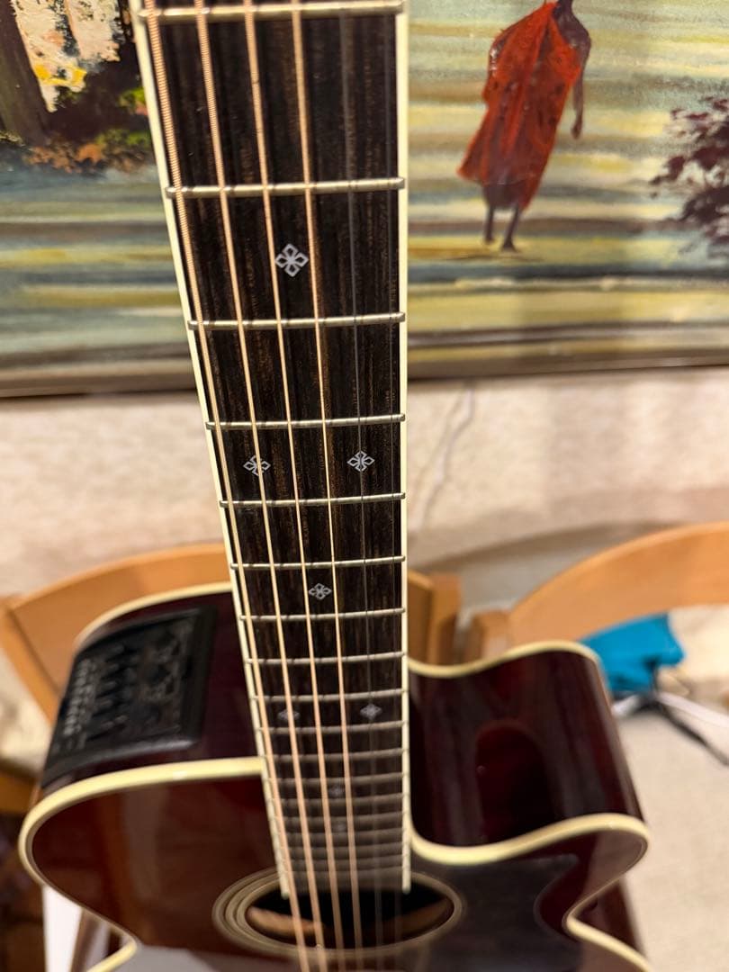 Takamine アコースティックギター ワインレッドDMP 50SWR