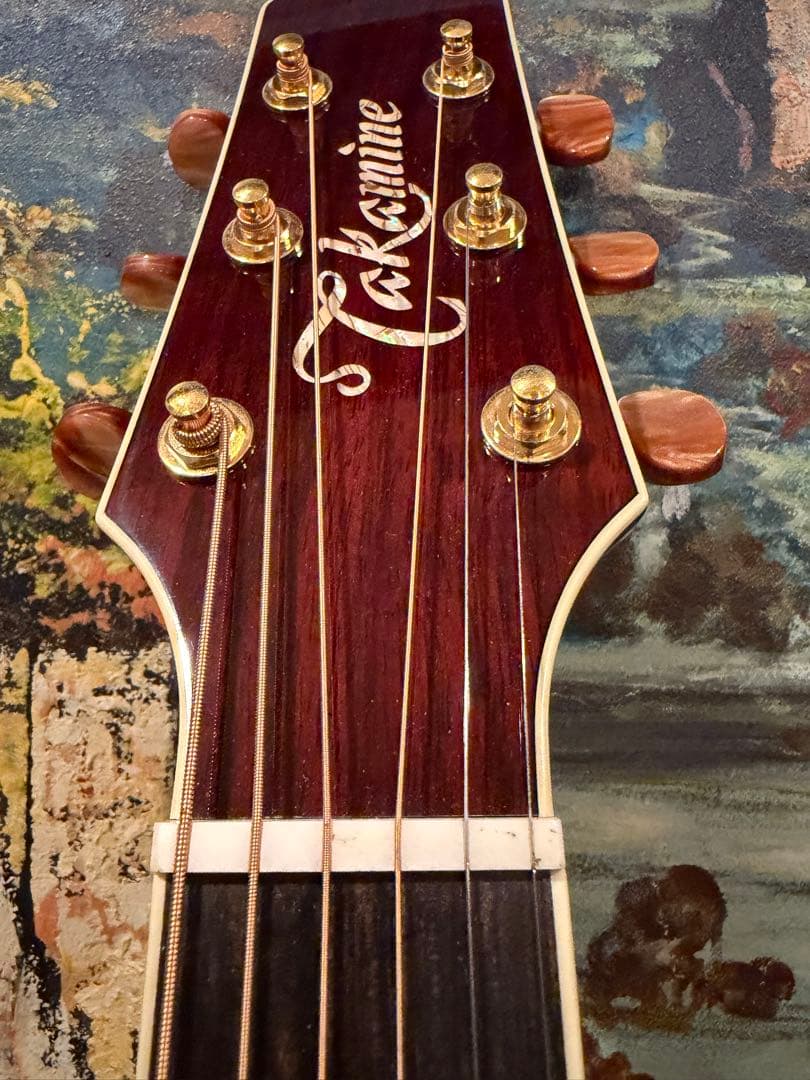 Takamine アコースティックギター ワインレッドDMP 50SWR
