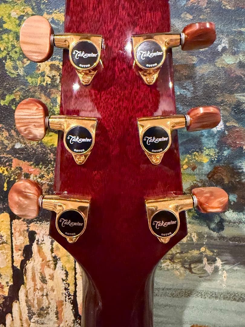Takamine アコースティックギター ワインレッドDMP 50SWR