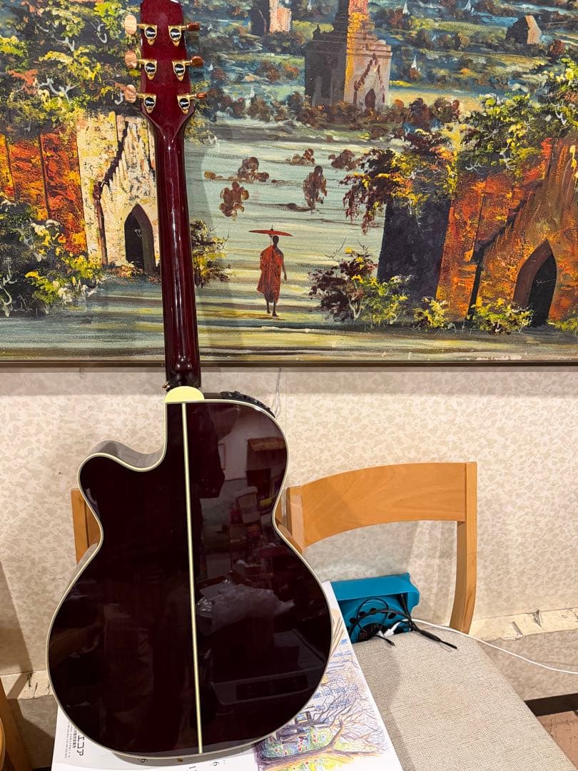 Takamine アコースティックギター ワインレッドDMP 50SWR