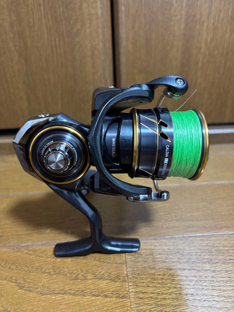 DAIWA 21 CALDIA LT3000-CXH カルディア