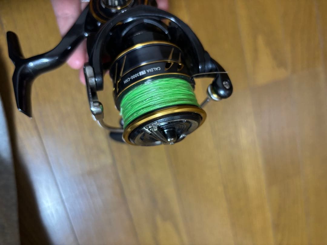 DAIWA 21 CALDIA LT3000-CXH カルディア