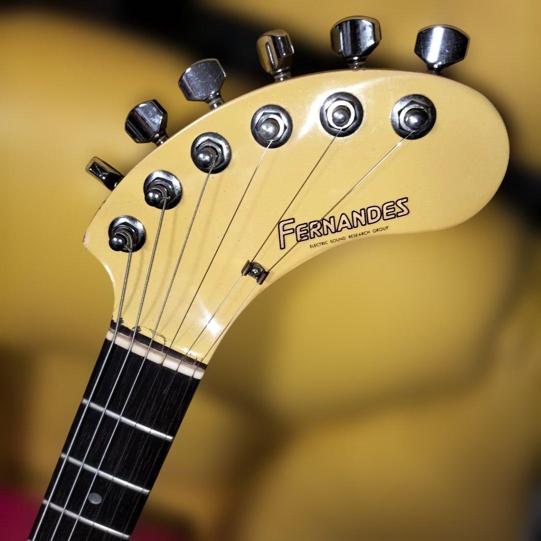 本日限定ポッキリ価格 Fernandes ぞうさんセット