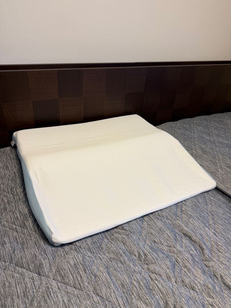 新古品　美品　トゥルースリーパーセブンスピロー　ライト