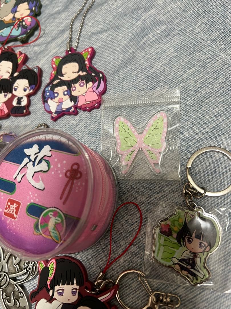 鬼滅の刃　胡蝶しのぶ＆栗花落カナヲ　キャラクターグッズセット