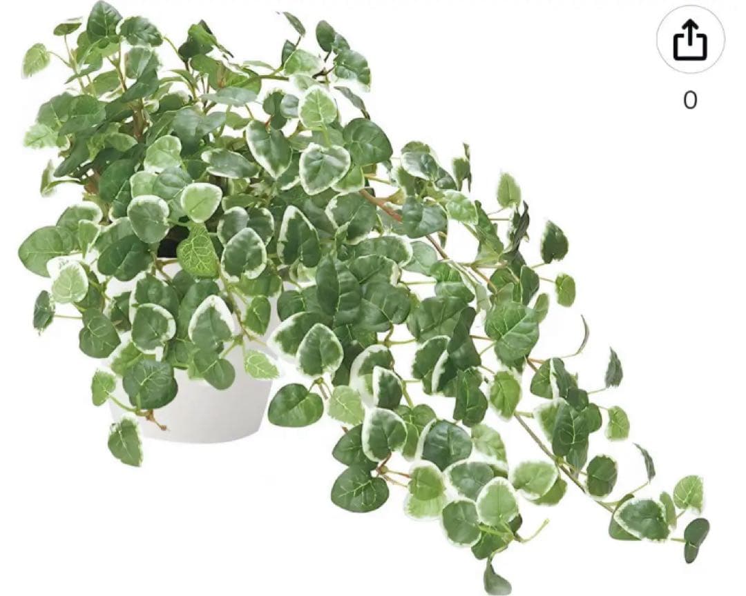 光触媒　人工観葉植物　ウォールグリーン　フェイクグリーン　プミラ