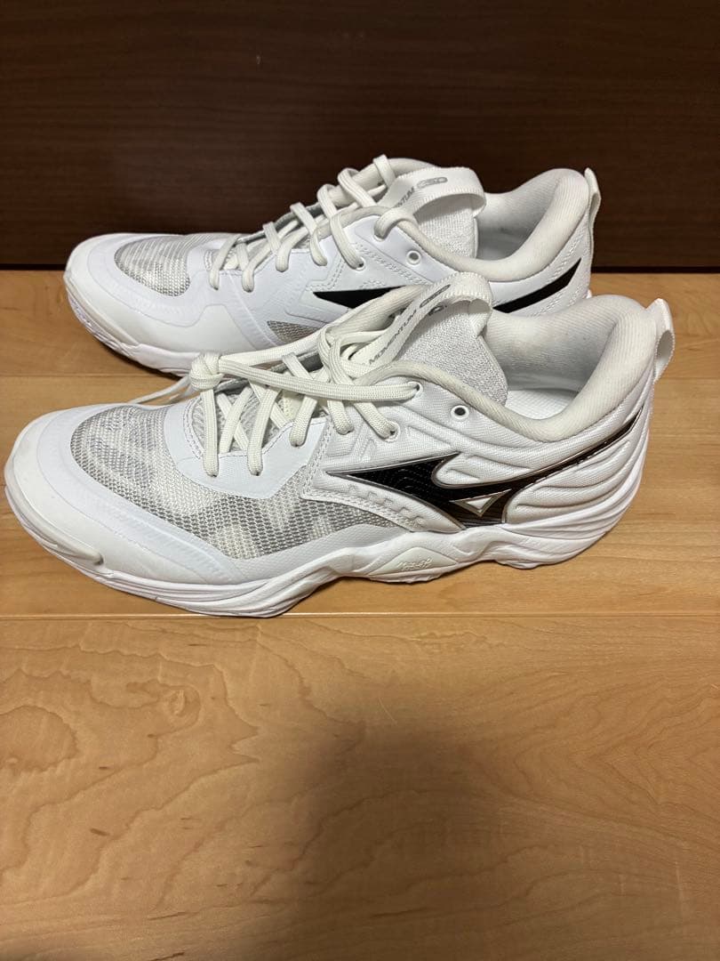 MIZUNO(ミズノ) ユニセックス大人 バレーボールシューズ