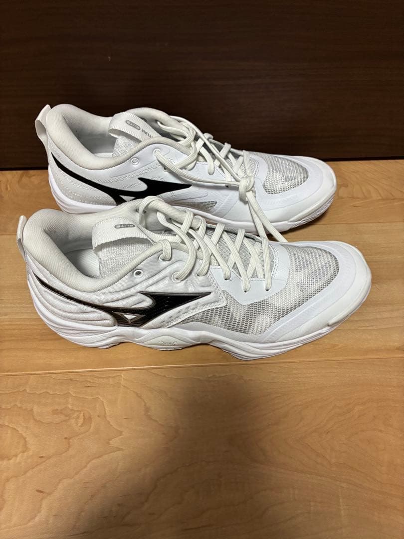 MIZUNO(ミズノ) ユニセックス大人 バレーボールシューズ