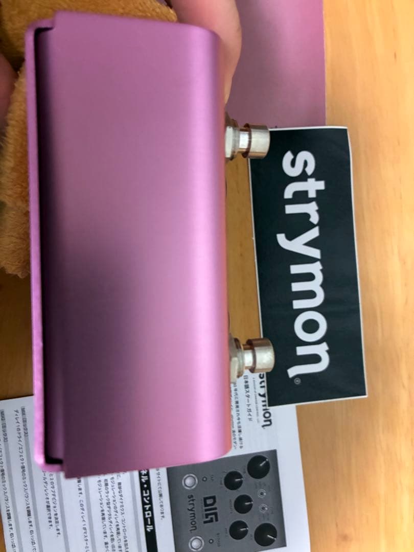 Strymon DIG (未使用に近い)