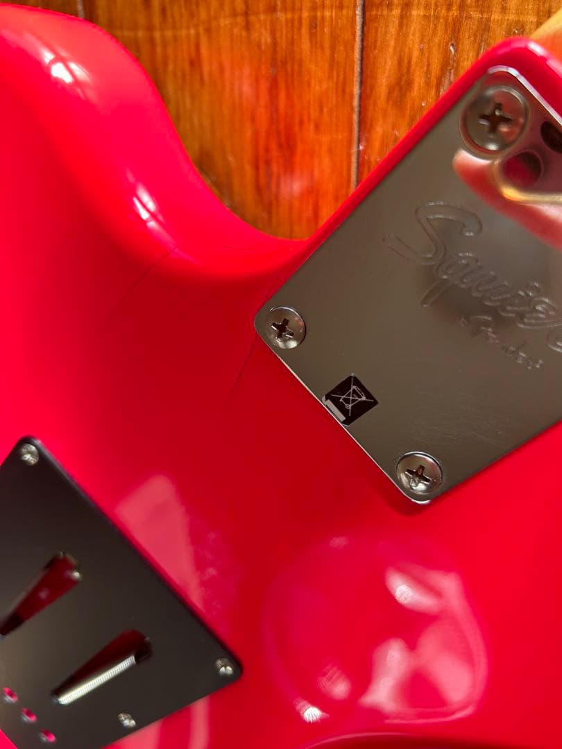 squier Jagmaster 神聖かまってちゃん の子モデル