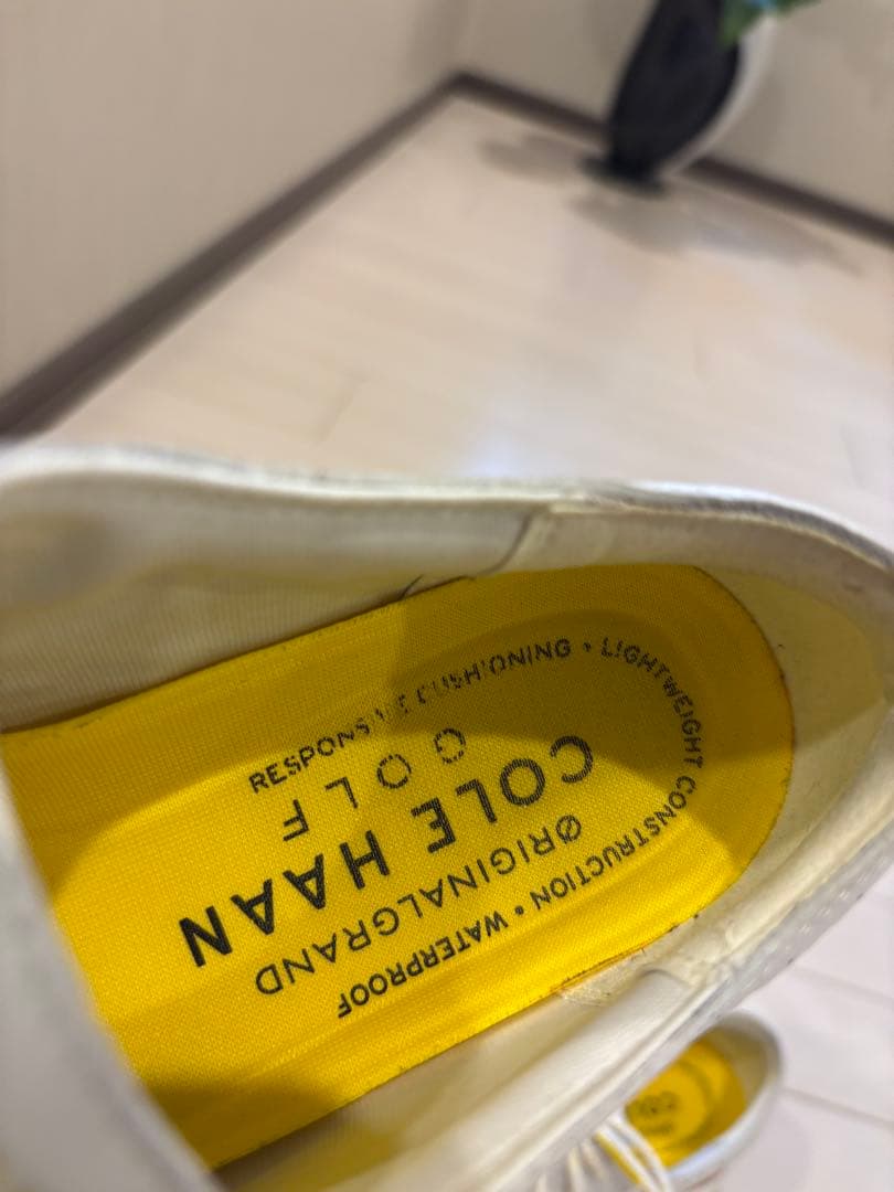 コールハーン　COLE HAAN ゴルフシューズ　ホワイト　6 1/2