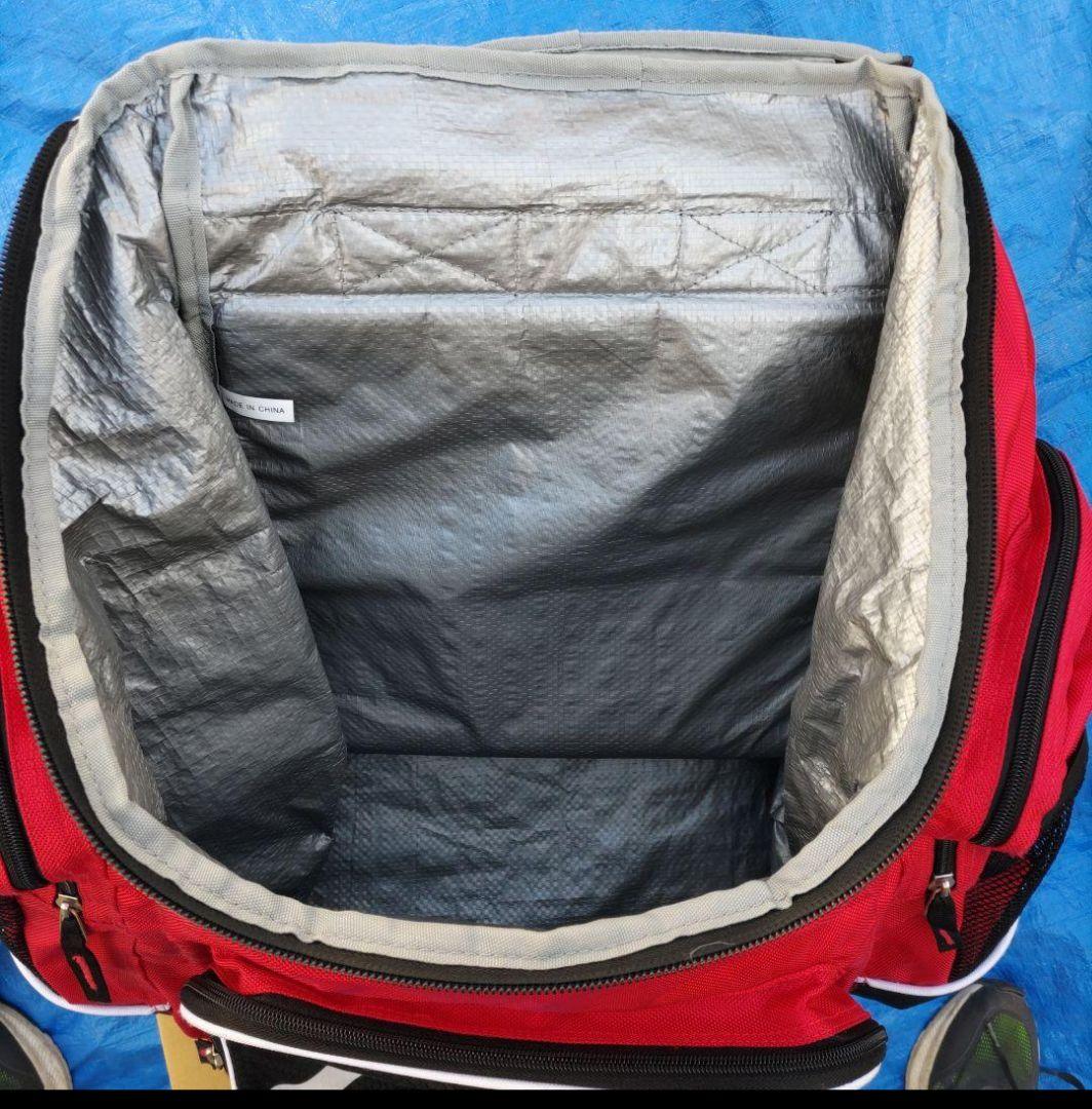 未使用保管品 SWIX スウィックス バックバッグ