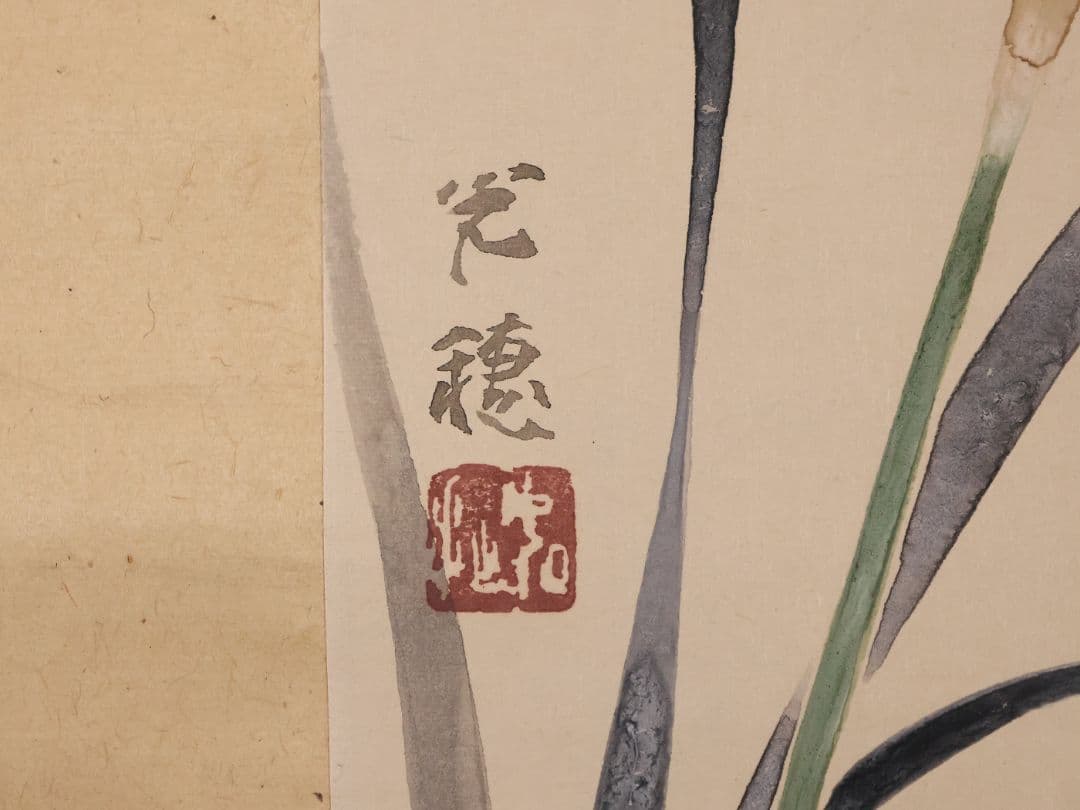 【真作】日本画 佐野光穂 水仙 花図 紙本 掛軸 共箱 琳派 長野 MB249
