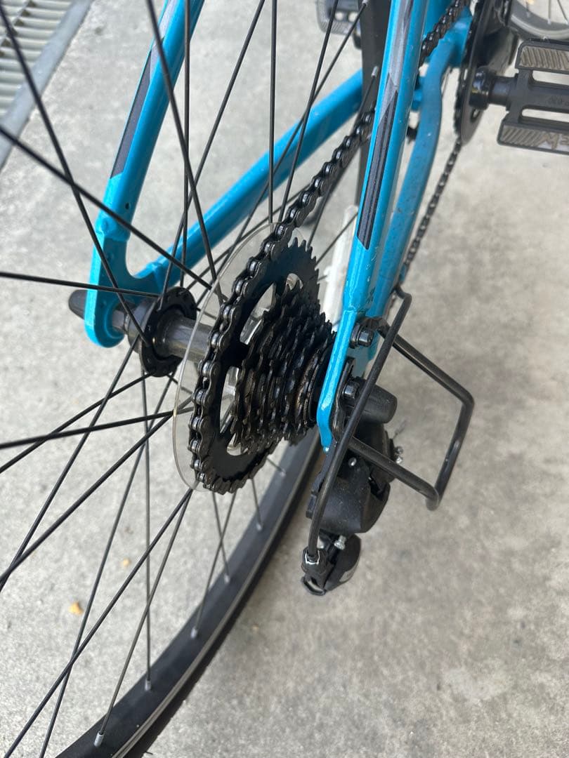 GIANT ジュニアスポーツ 自転車 青