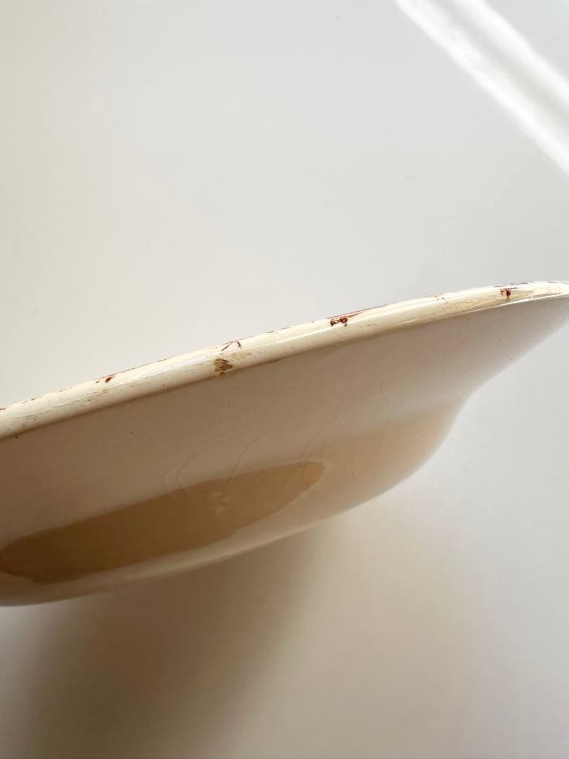 GIEN ジアン　cuctus フランス　アンティーク　プレート　皿　ブロカント