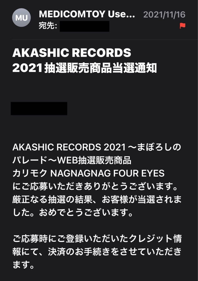 カリモク NAGNAGNAG FOUR EYES 新品未開封