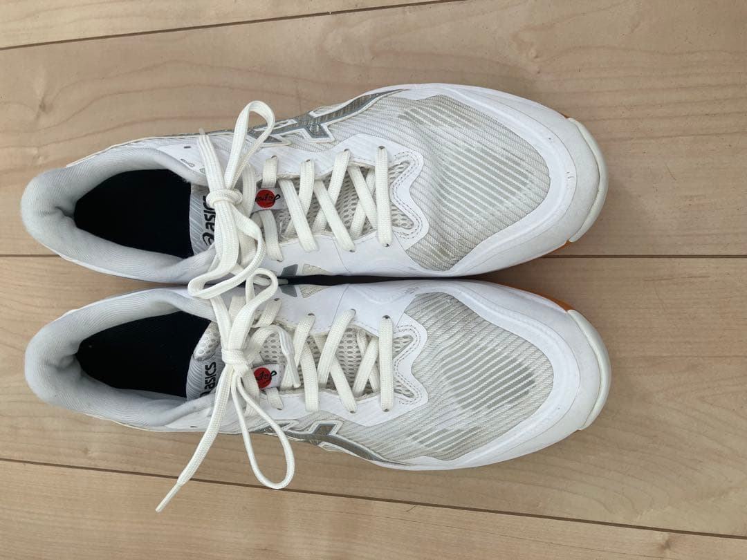 ASICS バレーボールシューズ　29cm ホワイト/シルバー