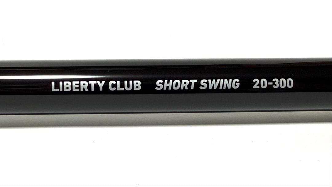 ダイワ(Daiwa) ロッド リバティクラブ ショートスイング 20-300
