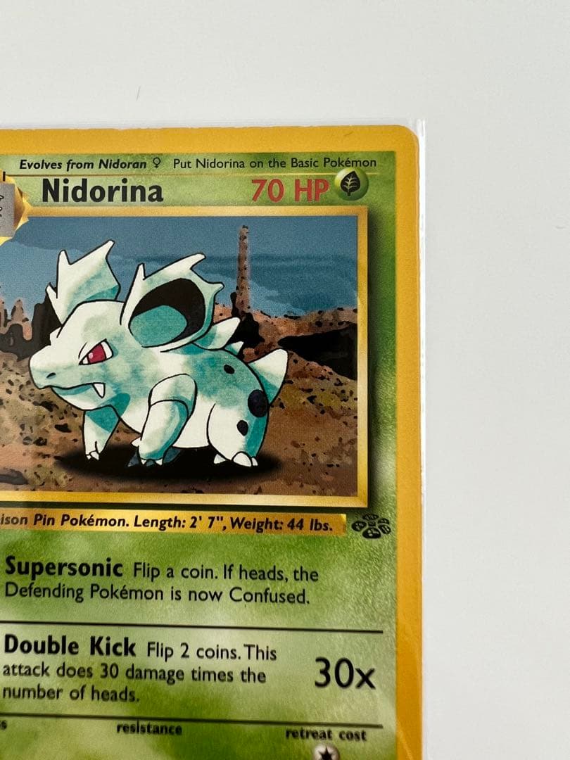 アメリカ購入品 Nidorina