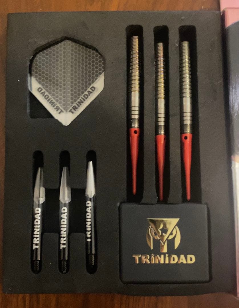 トリニダード ロメロ 岩田夏海 スティール TRiNiDAD ROMERO