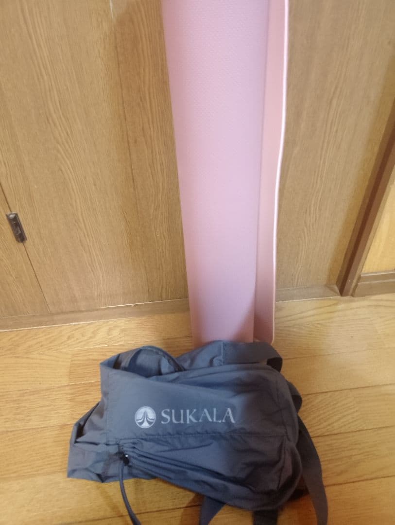 未使用！SUKALAスカーラリバーシブルヨガマット4ミリと未使用マットケース