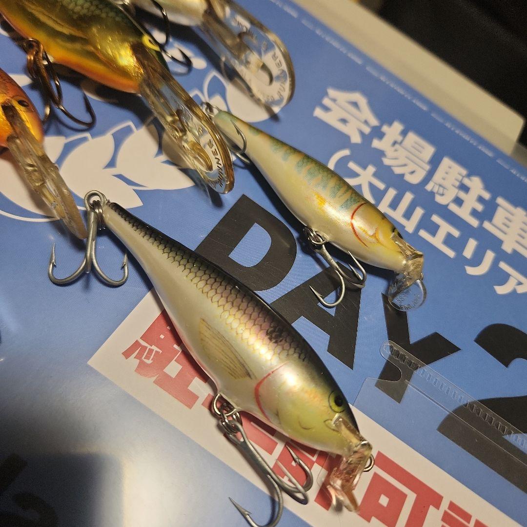 ラパラ　シャッドラップ　6個セット