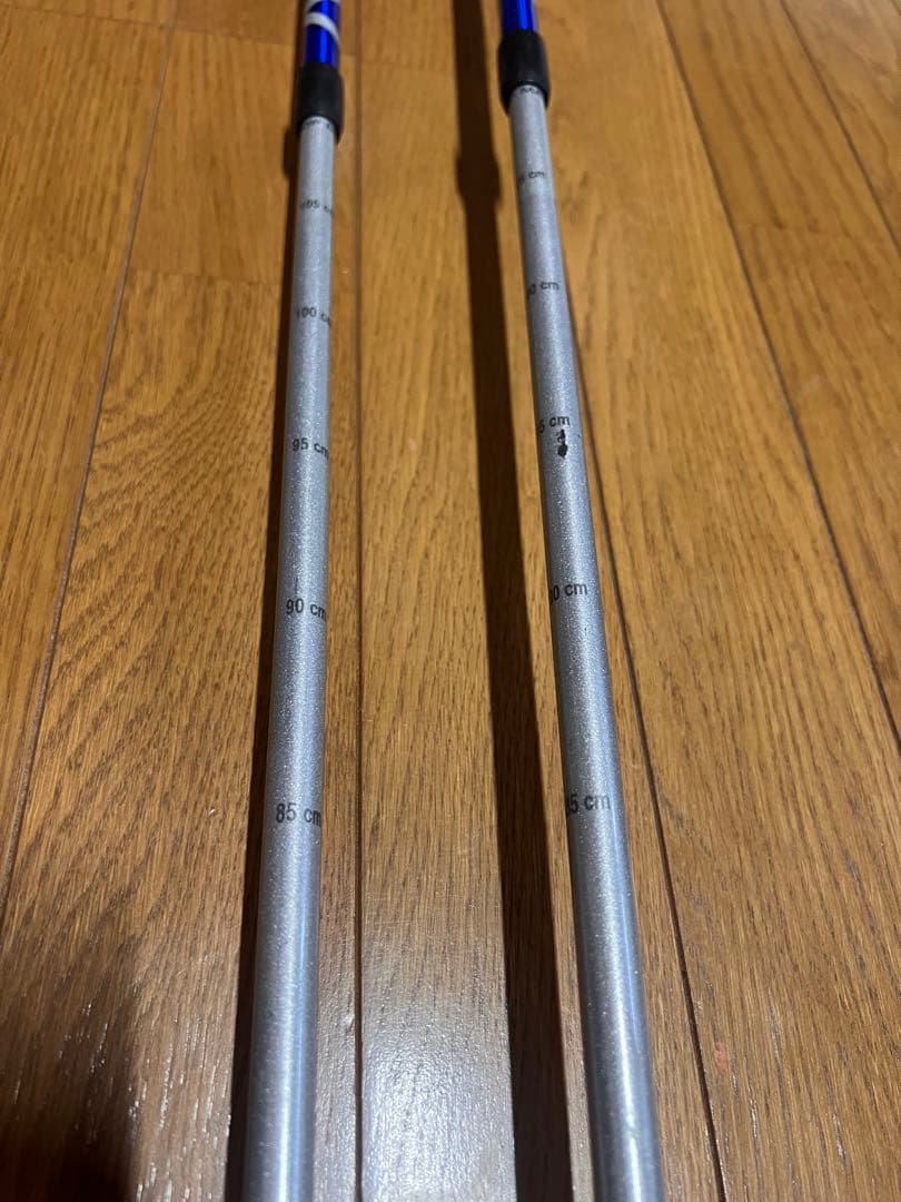 LEKI レキ 伸縮式 スキーストック