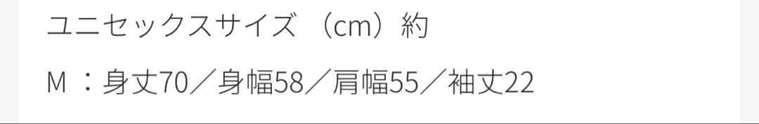 椎名林檎 党大会 Tシャツ 浮動層 無所属 & 手旗