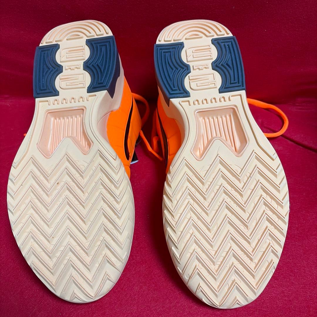 シューズ(男性用) NIKE LEBRON WITNESS IX EP 26cm