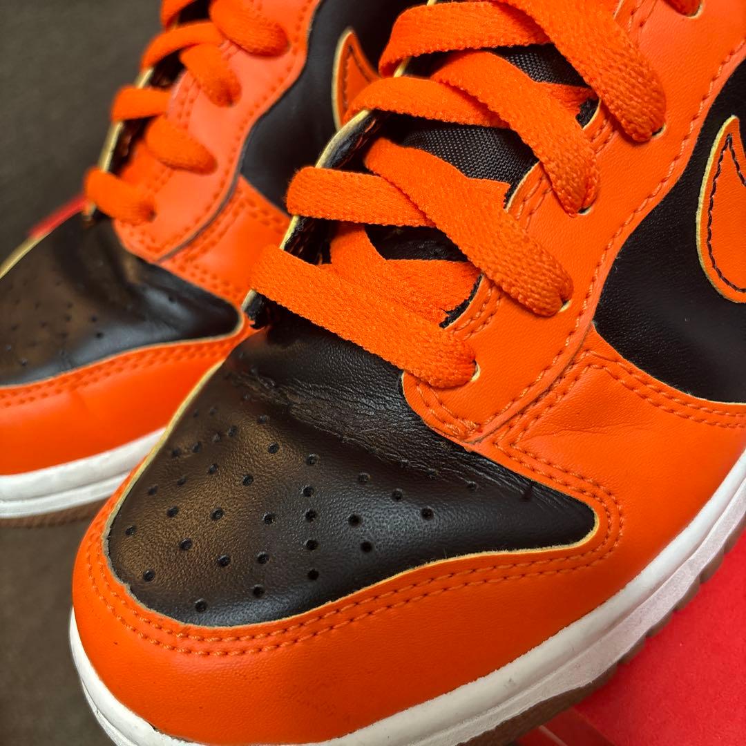 美品 NIKE DUNK HIGH DB2179-004 24.5cm