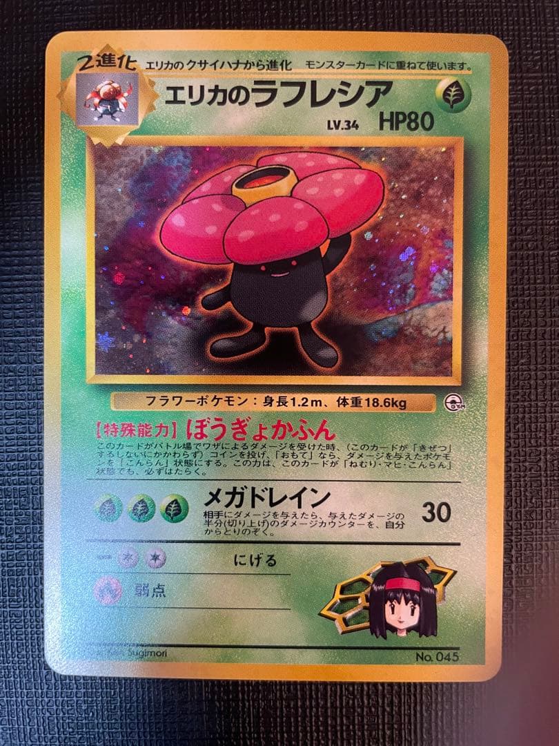 けんころ。