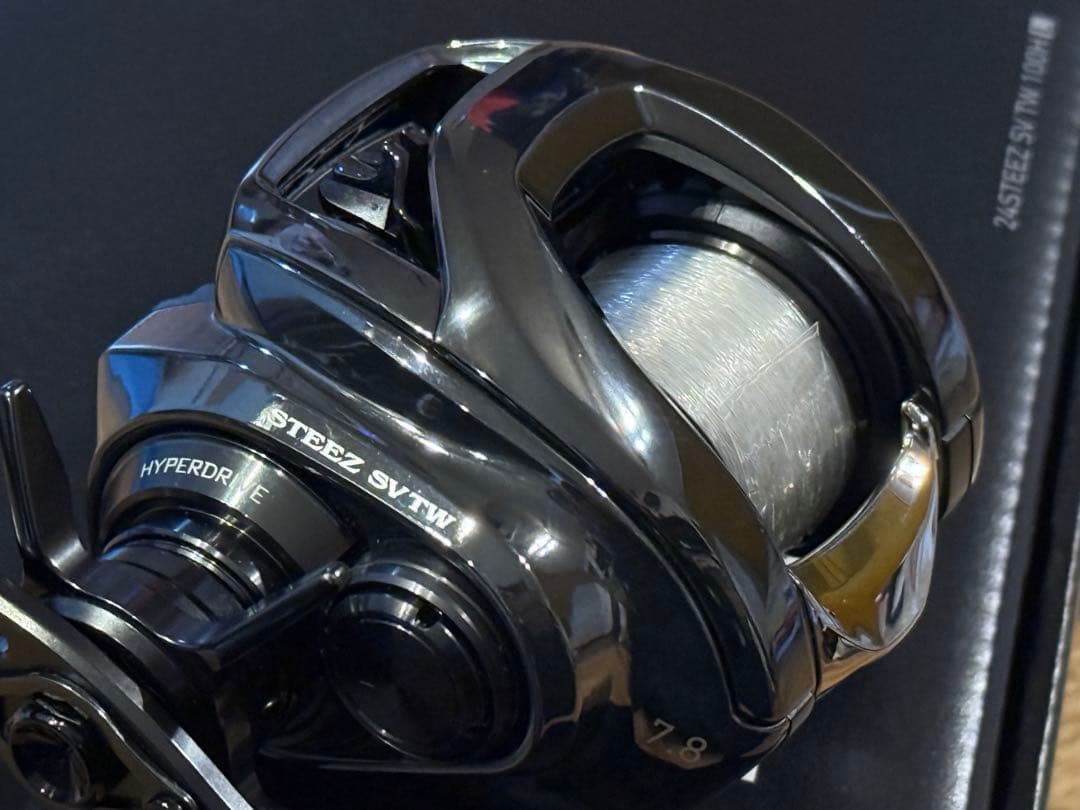 Daiwa 24 STEEZ SV TW 100HL ダイワ スティーズ