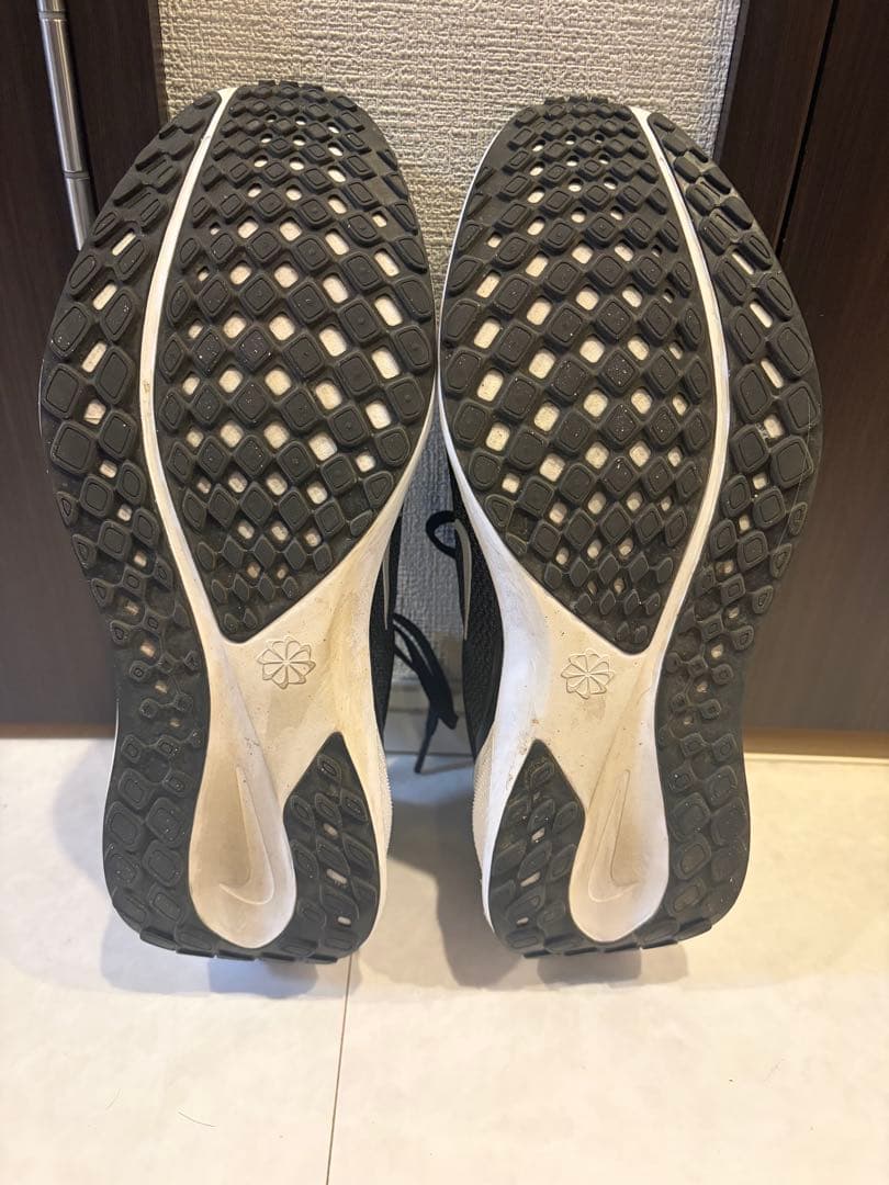 ナイキNIKEズームペガサス 41 FD2722-002 25.5cm