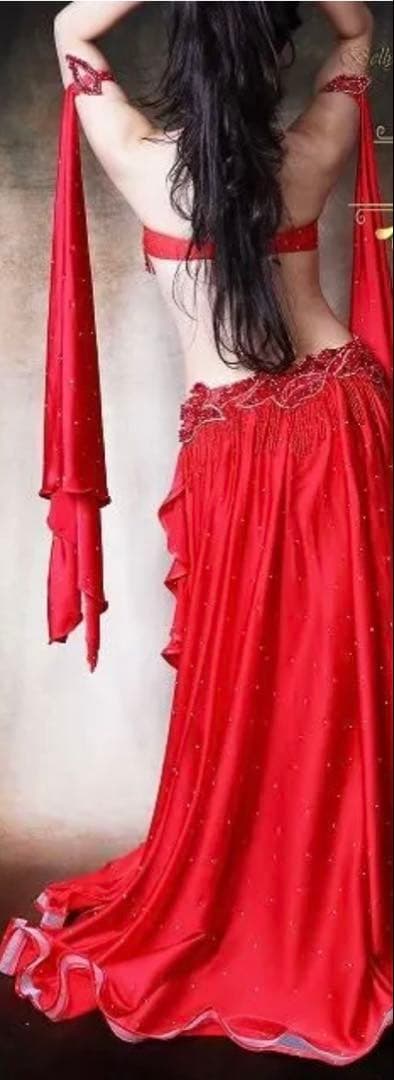 エジプト製有名ブランドyasser真紅の豪華で素晴らしいベリーダンス衣装新品‼️