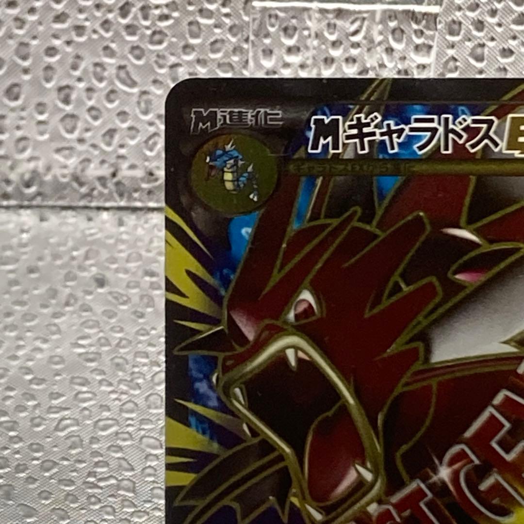 大特価 色違い ギャラドスEXSR 破天の怒り XY【ポケモンカード】