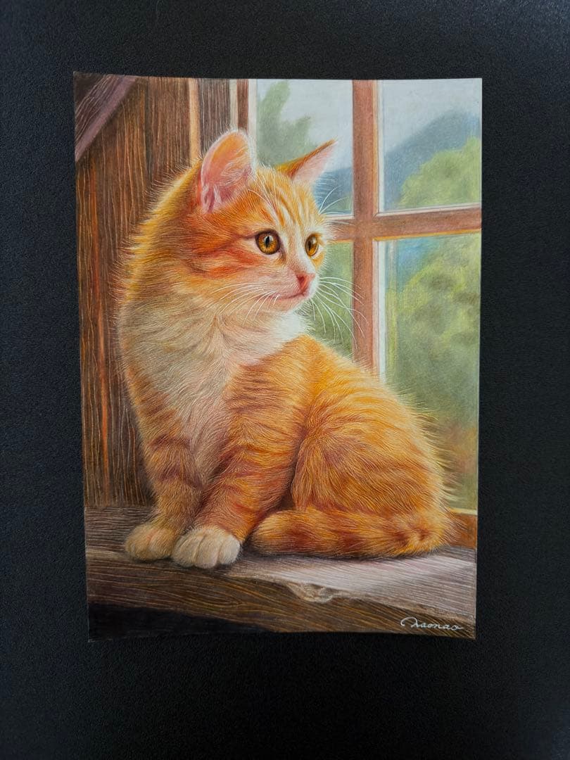 色鉛筆画A4.午後の窓辺.猫