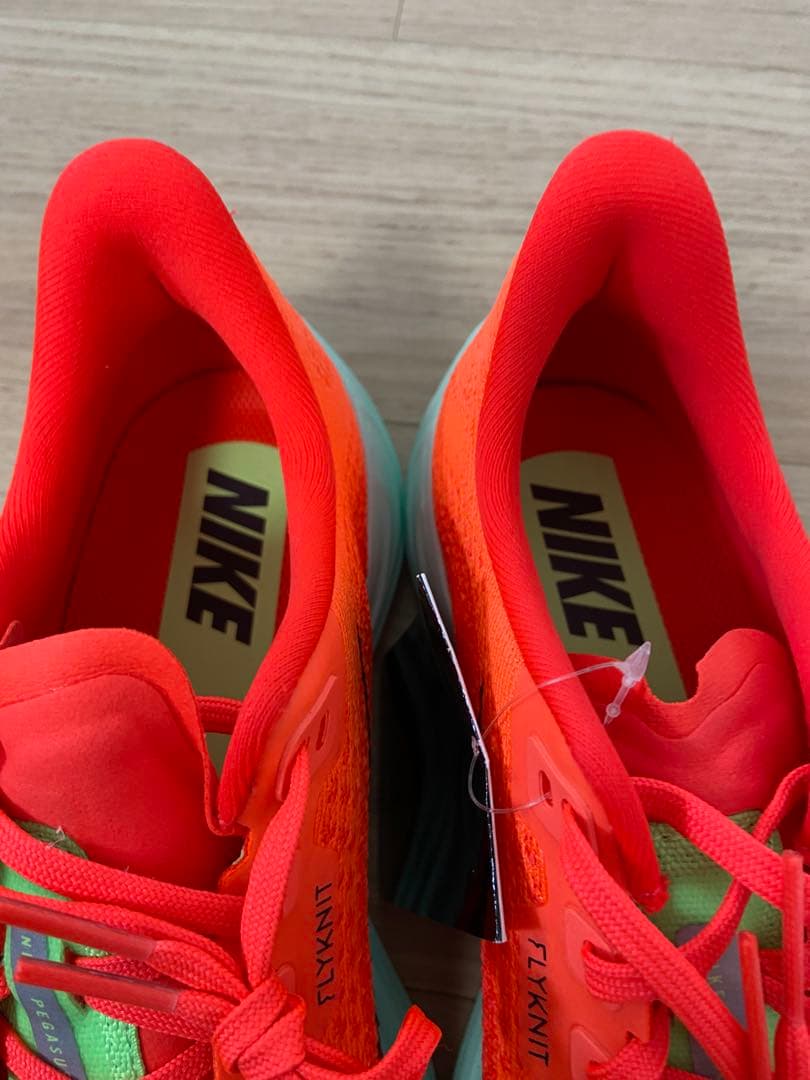 NIKE Pegasus plus ナイキ ペガサスプラス 25㎝